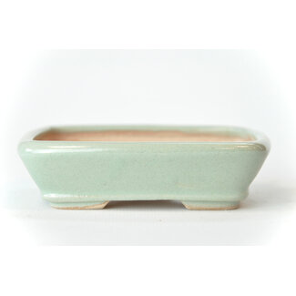 Seto 105 mm rectangular minty blue bonsai pot by Seto, Japan, Japan