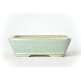 Seto 105 mm rectangular minty blue bonsai pot by Seto, Japan, Japan