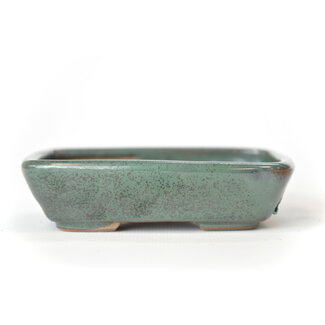 Seto 102 mm rechthoekige groenblauw bonsai pot van Seto, Japan, Japan