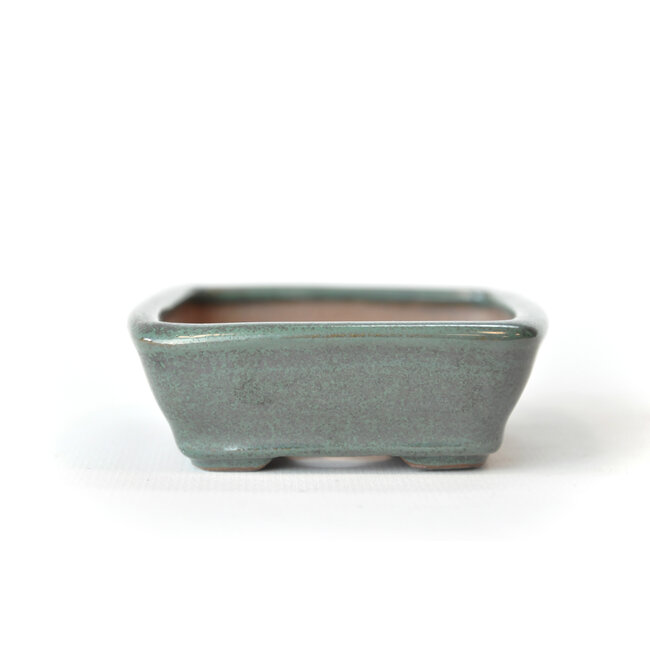 Maceta rectangular Seto verde azulado - 103 x 84 x 25 mm