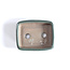 Maceta rectangular Seto verde azulado - 103 x 84 x 25 mm