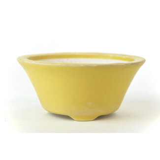 Seifu 118 mm round yellow bonsai pot by Seifu, Japan, Japan