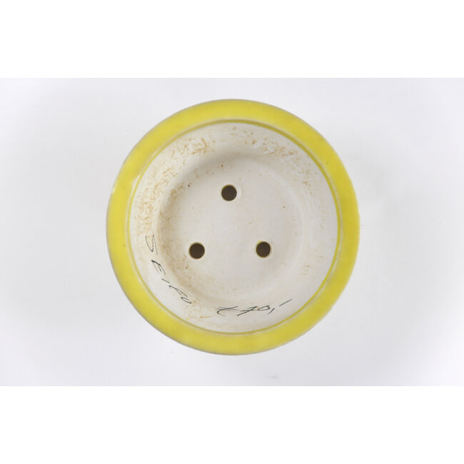 Pot Seifu rond jaune - 118 x 118 x 50 mm