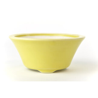 Seifu 119 mm round yellow bonsai pot by Seifu, Japan, Japan