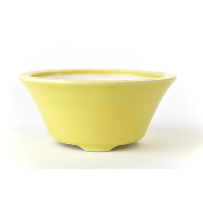 Maceta Seifu redonda amarilla - 119 x 119 x 50 mm