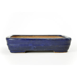 Hattori Tomoyuki 135 mm rectangular blue bonsai pot by Hattori, Tokoname, Japan