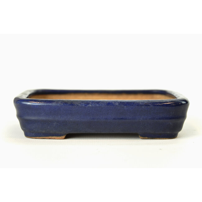 Rechteckiger blauer Hattori-Bonsai-Topf - 135 x 102 x 25 mm