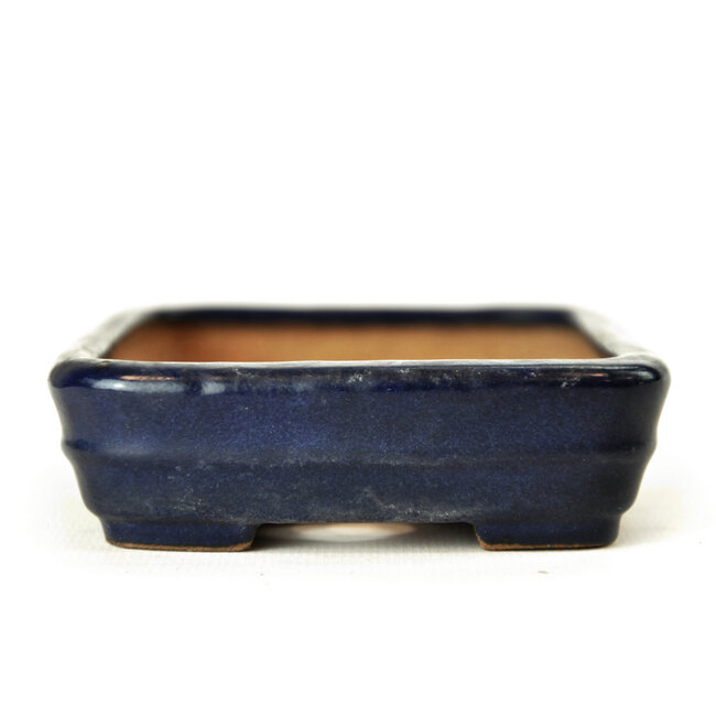 Rechthoekige blauwe Hattori bonsaipot - 135 x 102 x 25 mm