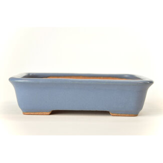 Hattori Tomoyuki 140 mm rectangular light blue bonsai pot by Hattori, Tokoname, Japan