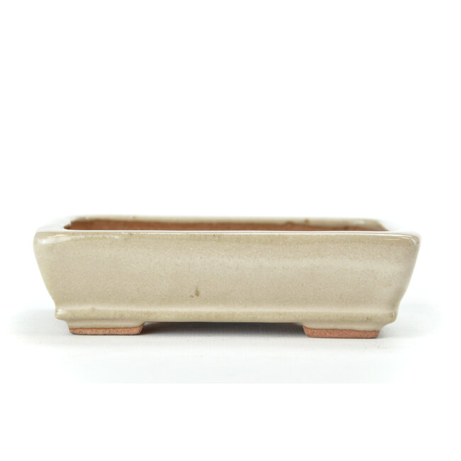 Rectangular creme Hattori bonsai pot - 130 x 90 x 30 mm