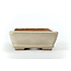 Maceta rectangular para bonsái Hattori en color blanquecino a beige - 130 x 90 x 30 mm