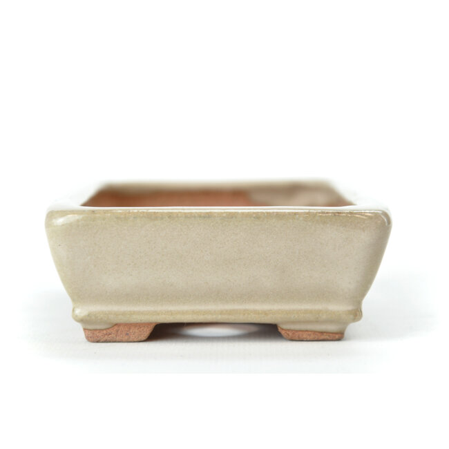 Maceta rectangular para bonsái Hattori en color blanquecino a beige - 130 x 90 x 30 mm