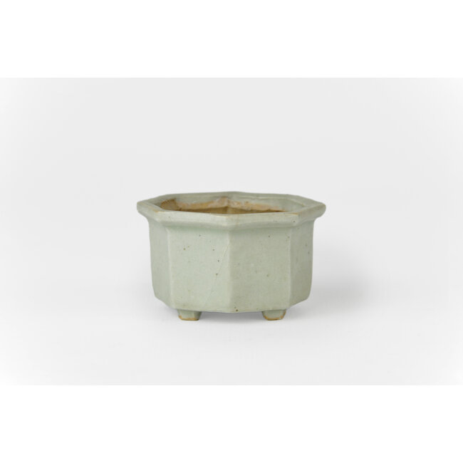 Vaso bonsai Misai grigio ottagonale - 50 x 50 x 35 mm