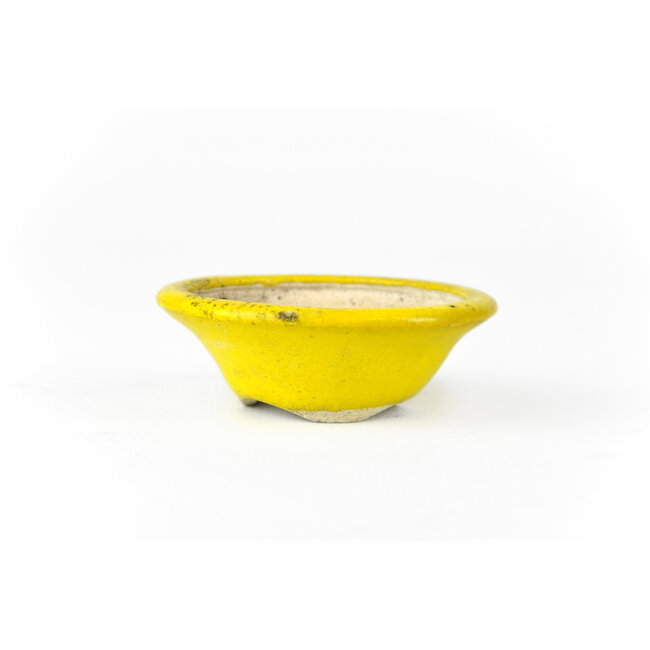 Round yellow Biko bonsai pot - 66 x 66 x 20 mm