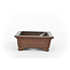 Rectangular unglazed Bikou bonsai pot - 130 x 102 x 40 mm