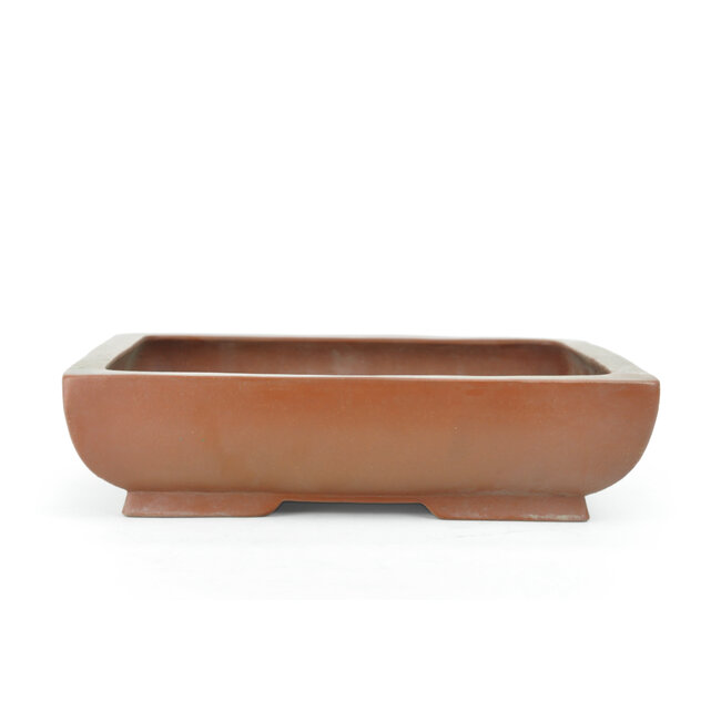 Maceta rectangular de bonsai Shoko sin esmaltar - 296 x 236 x 75 mm