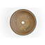 Pot à bonsaï Shozan rond non émaillé - 245 x 245 x 85 mm