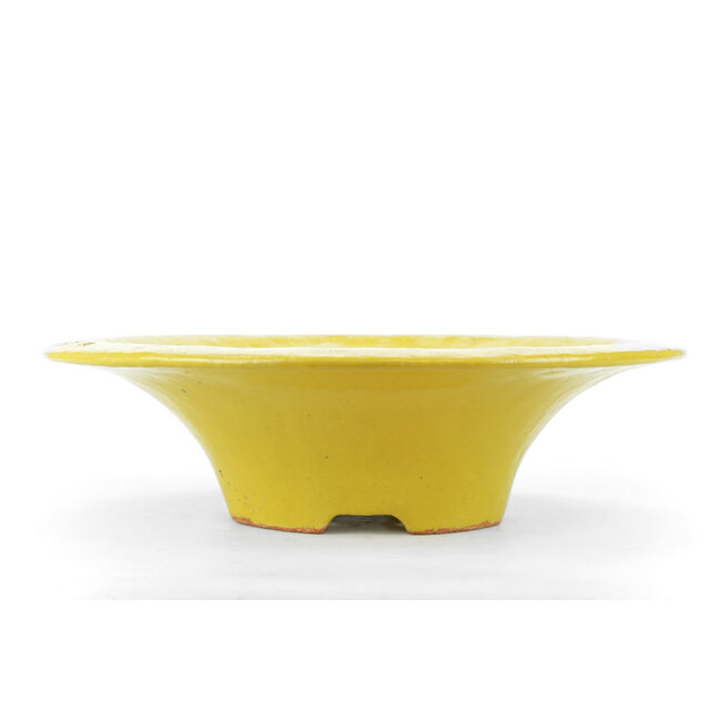 Pot à bonsaï Shiraku rond jaune - 315 x 315 x 90 mm