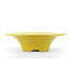 Round yellow Shiraku bonsai pot - 315 x 315 x 90 mm