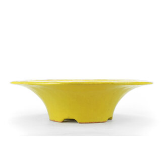 Shiraku 315 mm round yellow bonsai pot by Shiraku, Japan