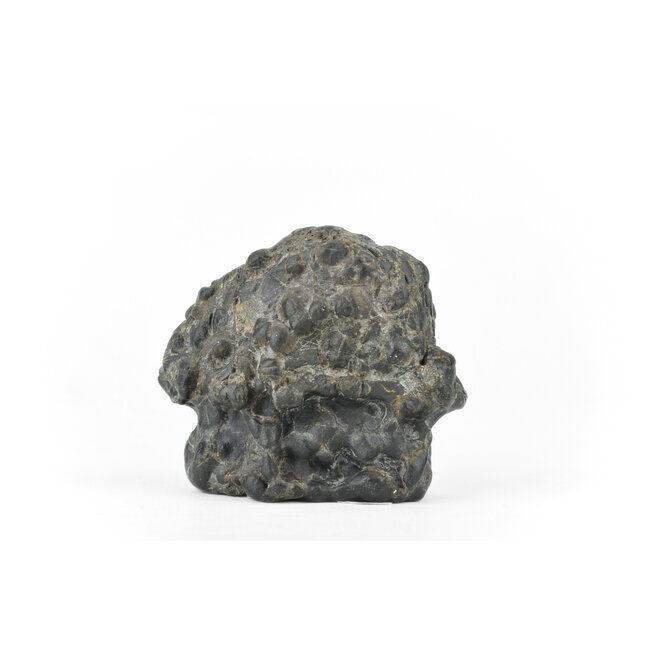 Suiseki de 65 mm de Japón en estilo cabaña de piedra