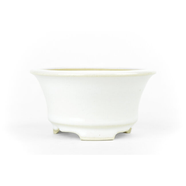 Ronde witte Bikou bonsai pot - 110 x 110 x 60 mm