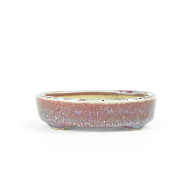 Oval purple and red Issho bonsai pot - 104 x 87 x 25 mm