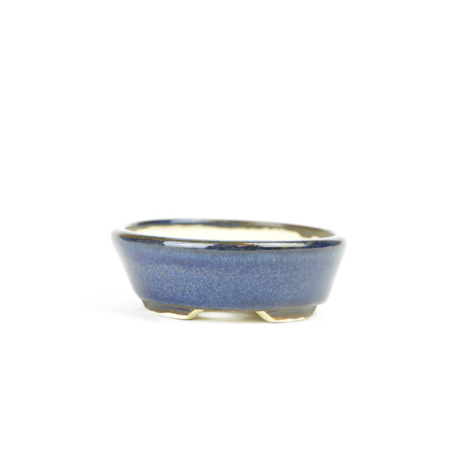 Maceta de bonsái ovalada azul - 90 x 81 x 25 mm