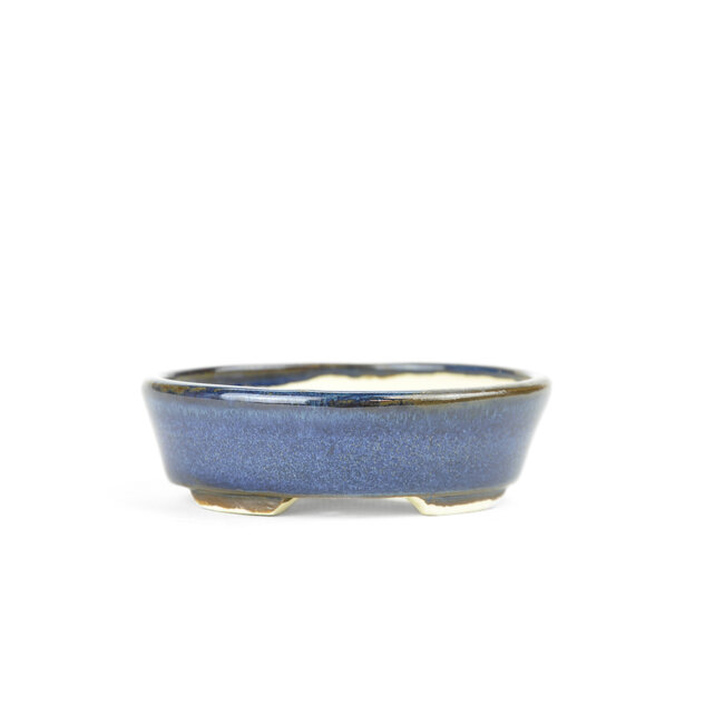 Oval blue Bonsai bonsai pot - 90 x 81 x 25 mm