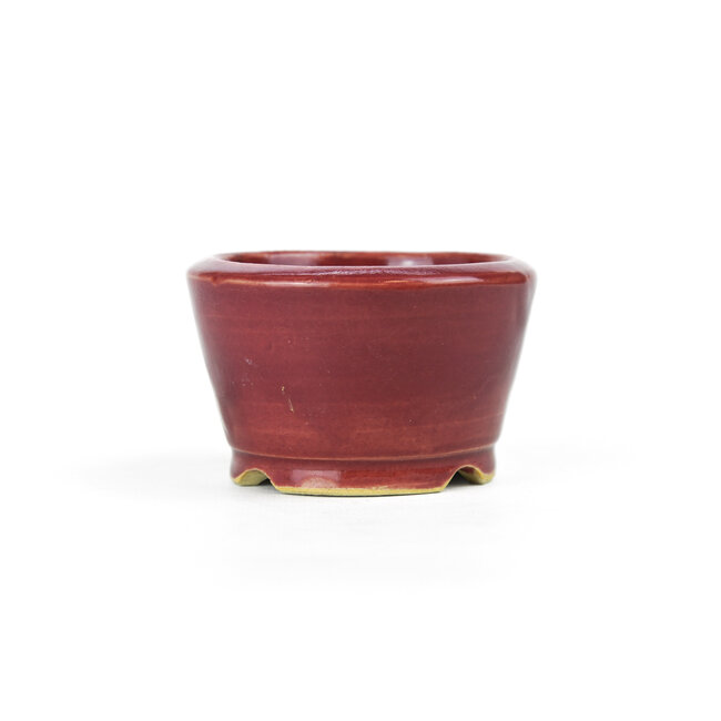 Vaso bonsai rosso rotondo - 85 x 85 x 55 mm