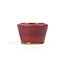 Round red bonsai pot - 85 x 85 x 55 mm