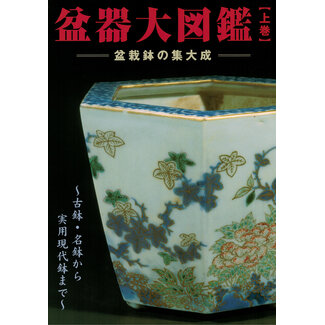 Japanes libro cer