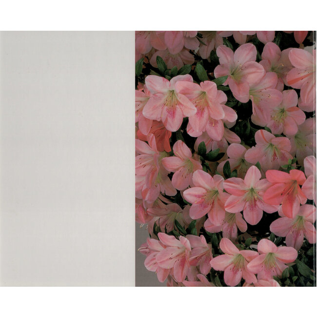 Japan Satsuki Association 1997