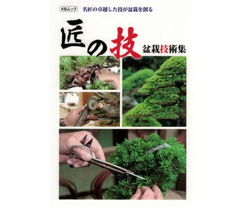 Japanse meesters nieuw werkboek