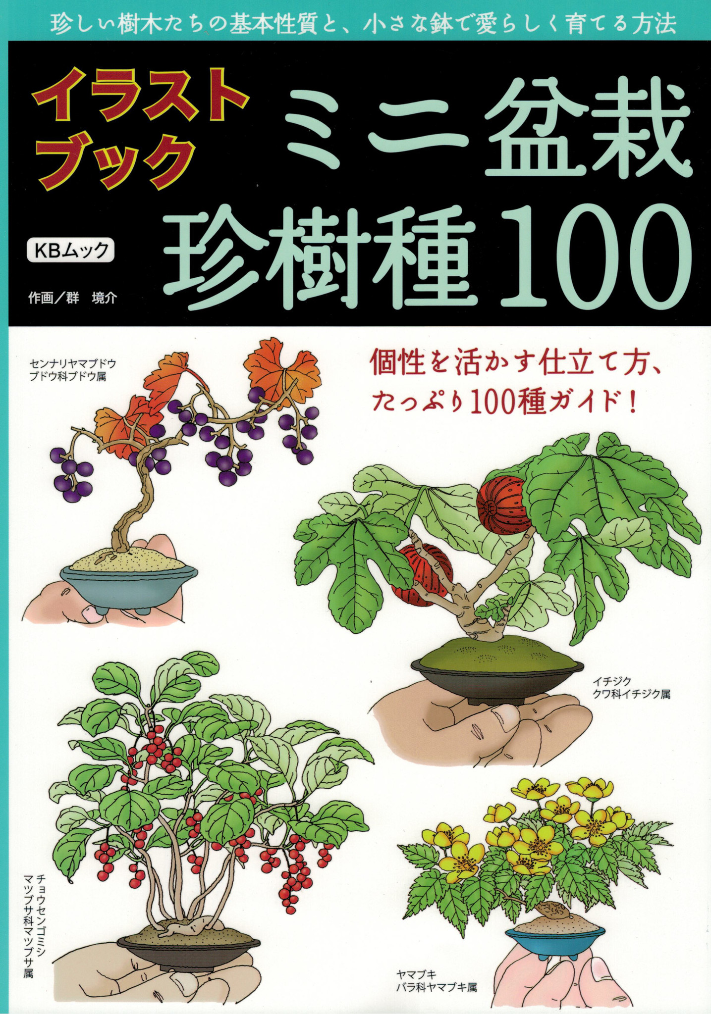 100 Species Techniques Book Bonsaiplaza