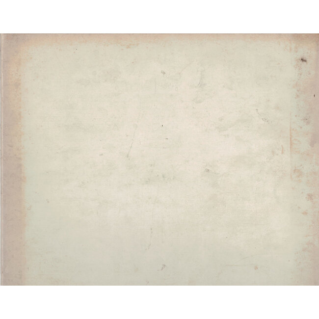 7th international bonsai and suiseki exhibition | Nippon Bonsai Association | Japan | hardcover with sleeve