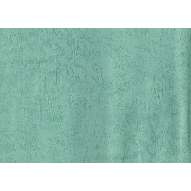 Kyushu Shohin-ten no. 21 | Asociación Nippon Bonsai | Japón | libro de bolsillo