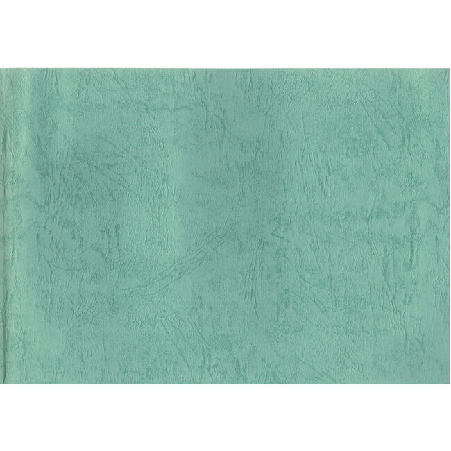 Kyushu Shohin-ten no. 22 | Nippon Bonsai Association | Giappone | paperback