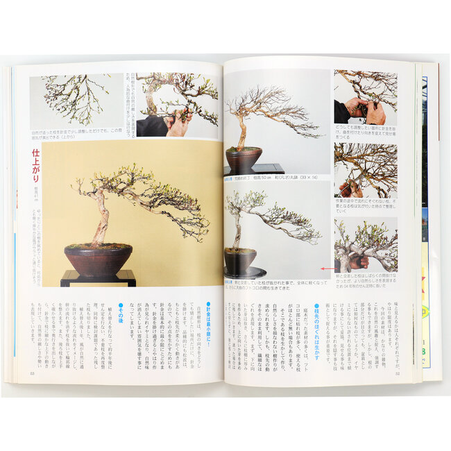 How to make satsuki bonsai no. 4 | Mr. Masamiyama | Tochinoha | 2017 | Japan | paperback