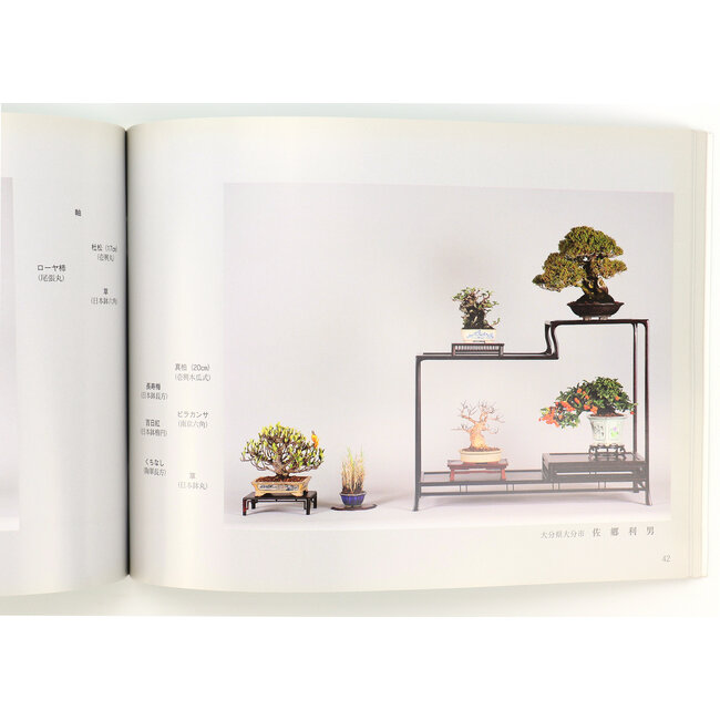 Kyushu Shohin-ten non. 22 | Association Nippon Bonsai | Japon | broché