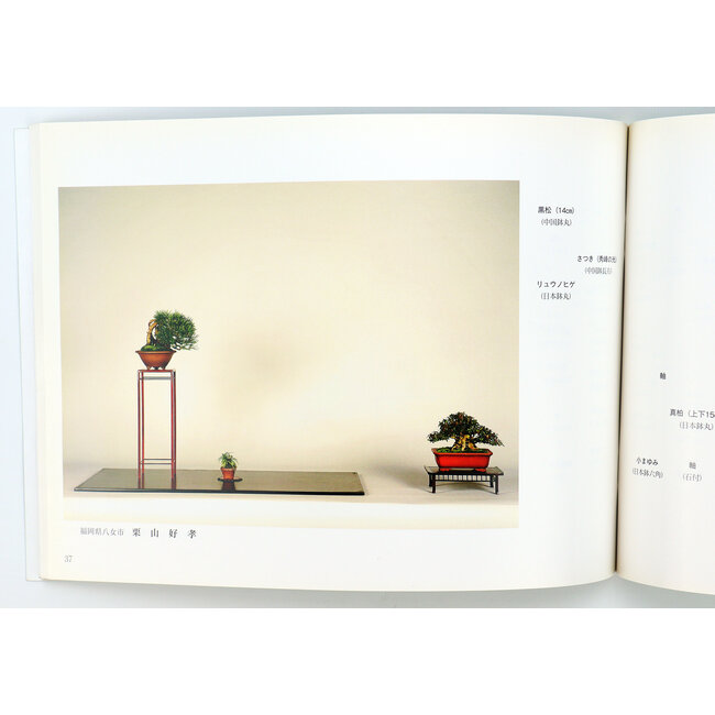 Kyushu Shohin-ten nr. 23 | Nippon Bonsai Association | Japan | paperback