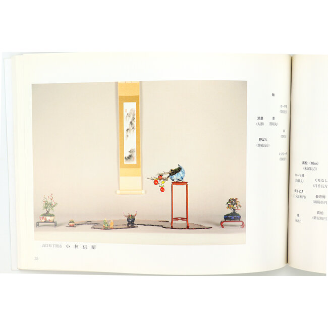 Kyushu Shohin-ten no. 23 | Nippon Bonsai Association | Giappone | paperback