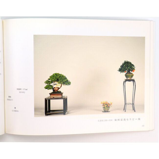 Kyushu Shohin-ten no. 23 | Nippon Bonsai Association | Giappone | paperback