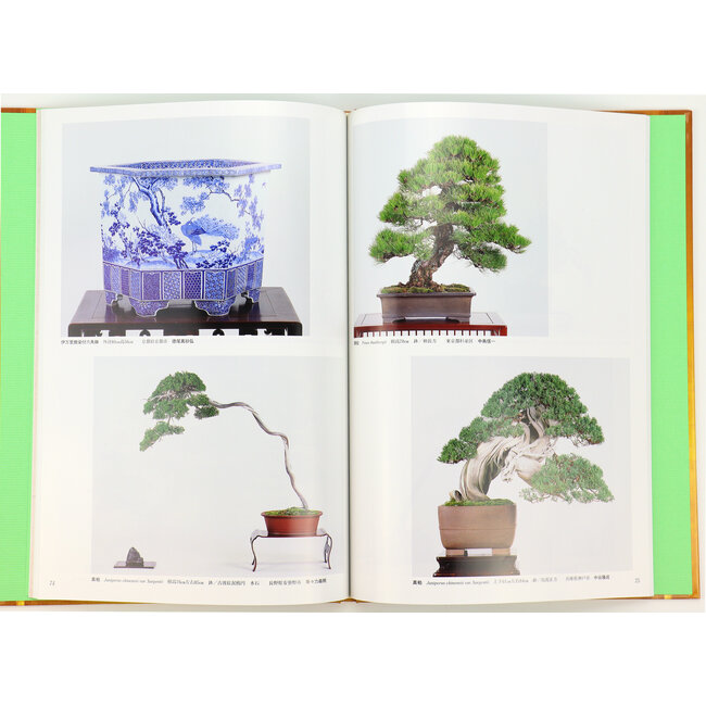 Die 11. asiatisch-pazifische Bonsai und Suiseki Tagung und Ausstellung | Asien-Pazifik Bonsai Association | Kinbon | 2011 | Japan | Hardcover mit Ärmel