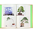 The 11th Asia-Pacific Bonsai and Suiseki convention and exhibition | Asia-Pacific Bonsai Association | Kinbon | 2011 | Japan | hardcover with sleeve