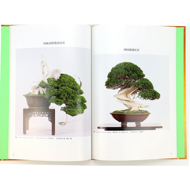 The 11th Asia-Pacific Bonsai and Suiseki convention and exhibition | Asia-Pacific Bonsai Association | Kinbon | 2011 | Japan | hardcover with sleeve