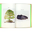 The 11th Asia-Pacific Bonsai and Suiseki convention and exhibition | Asia-Pacific Bonsai Association | Kinbon | 2011 | Japan | hardcover with sleeve