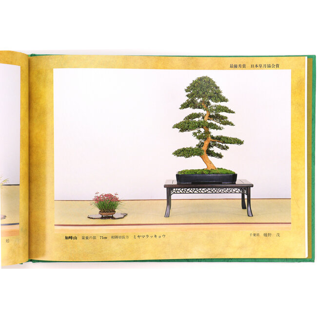 Asociación Japonesa Satsuki 1992 | Asociación Nippon Satsuki | Japón | tapa dura con funda