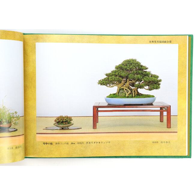 Japan Satsuki Association 1992 | Nippon Satsuki Association | Japan | Hardcover mit Ärmel