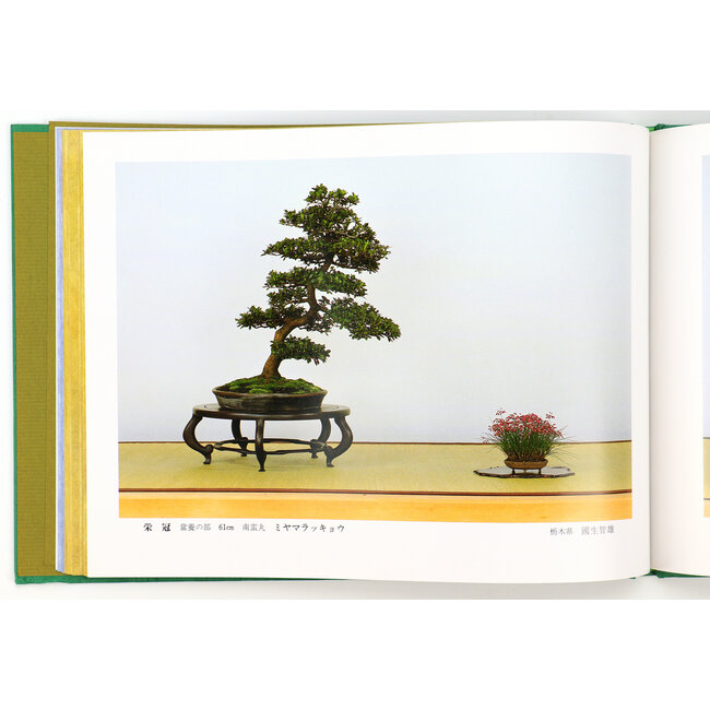 Japan Satsuki Association 1992 | Associazione Nippon Satsuki | Giappone | cartonato con manica